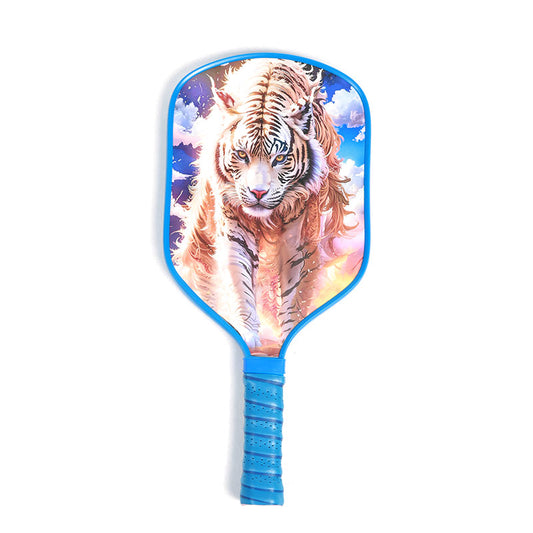 16mm Pickleball Paddle, Perforated Fiberglass-Carbon Fiber Pickleball Paddle, Beach Pickleball Set with Cover