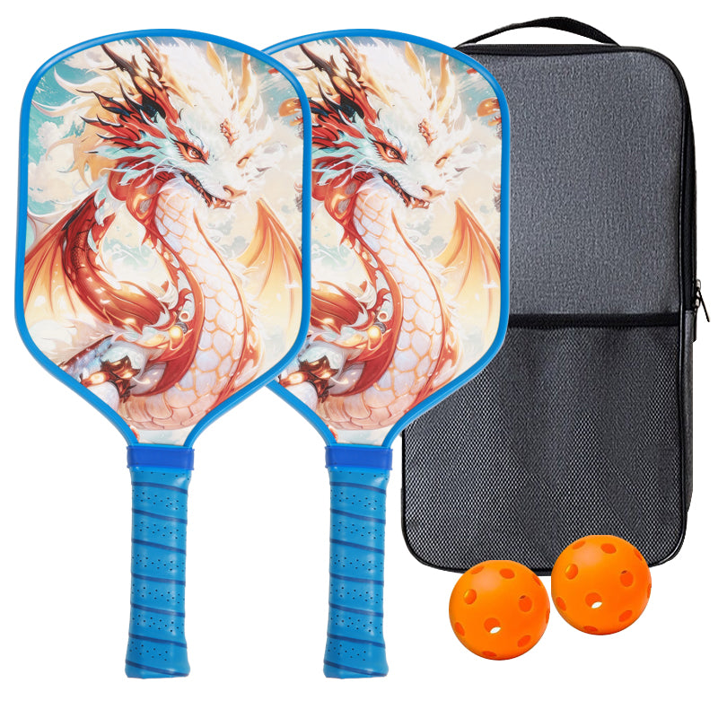 16mm Pickleball Paddle, Perforated Fiberglass-Carbon Fiber Pickleball Paddle, Beach Pickleball Set with Cover